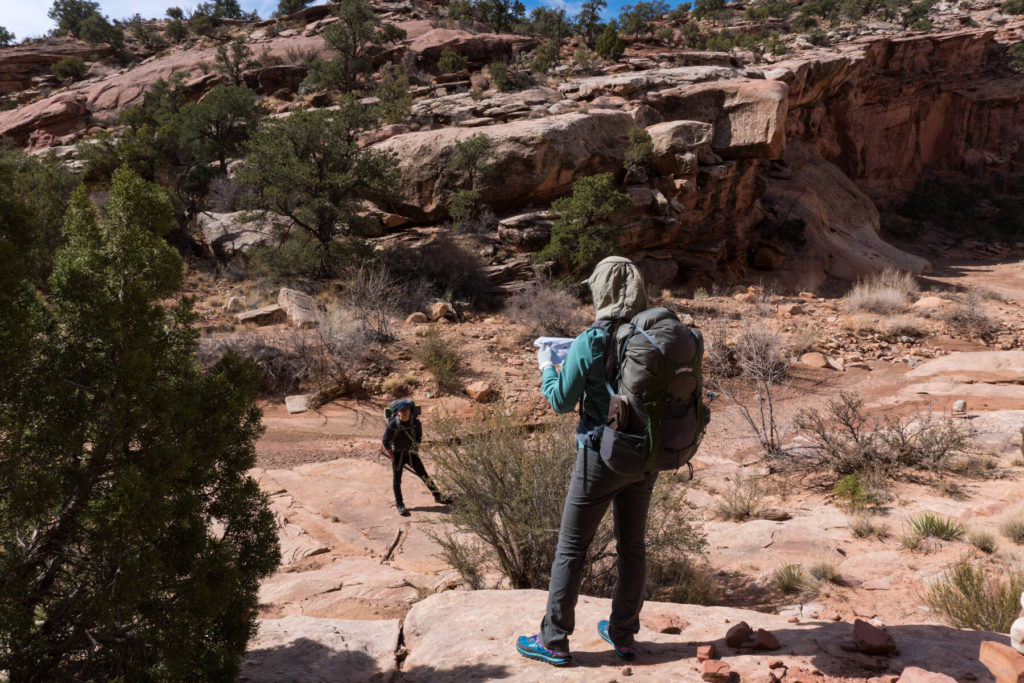 Reading maps lower muley twist canyon Backpacking Lower Muley Twist Canyon Capitol Reef