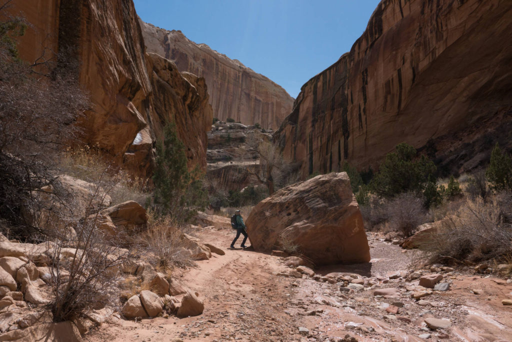 Boulder in Lower Muley Twist Backpacking Lower Muley Twist Canyon Capitol Reef