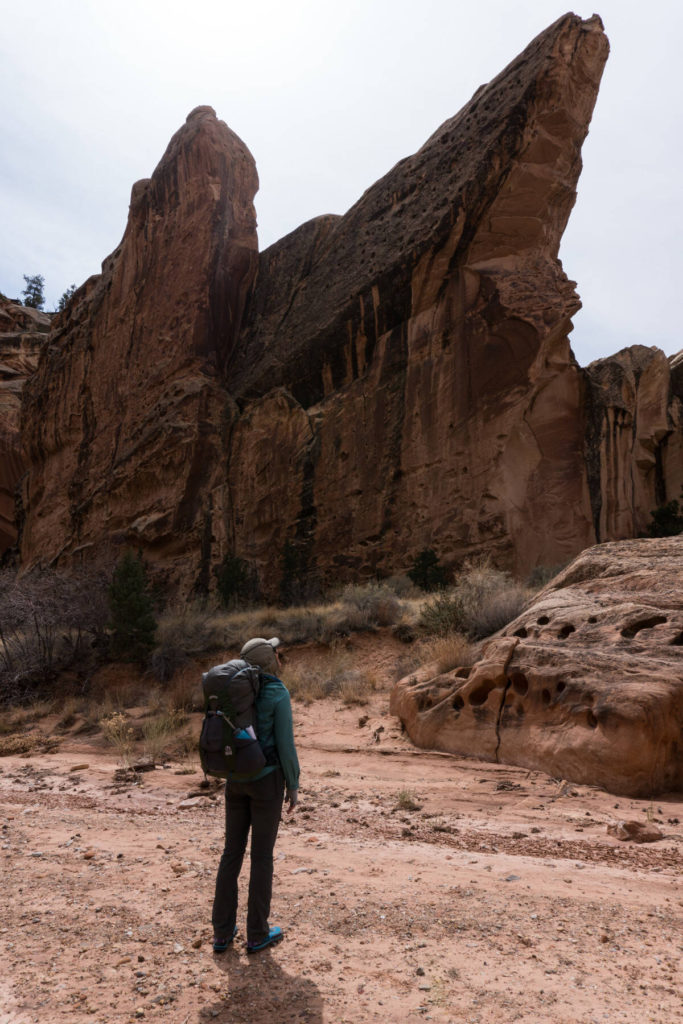 Rock formation Backpacking Lower Muley Twist Canyon Capitol Reef