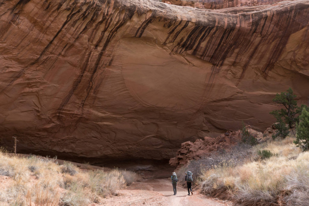 Canyon Walls Canyon Walls in Lower Muley Twist Capitol Reef