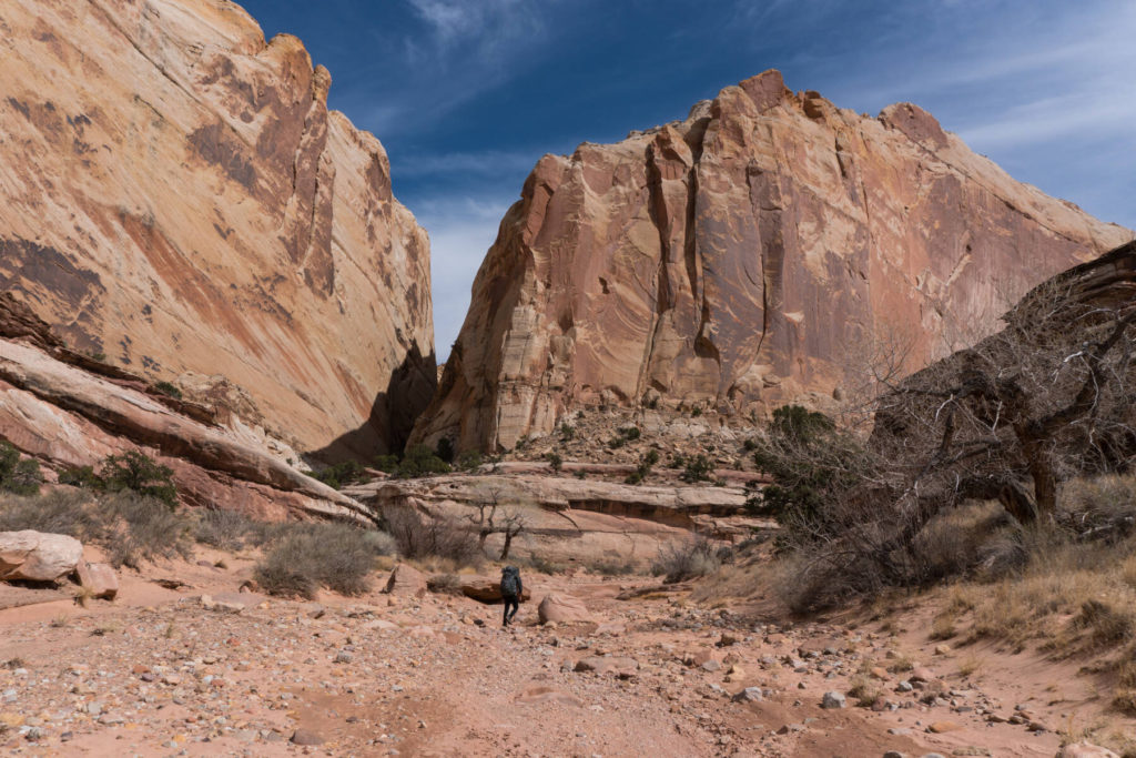 Lower Muley Twist Lower Muley Twist Capitol Reef