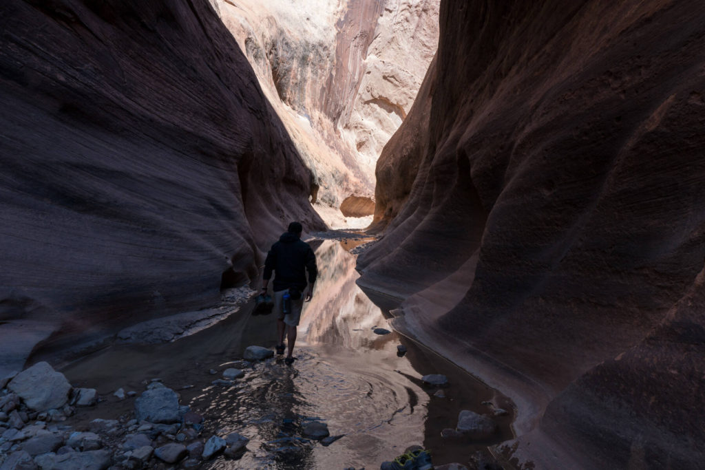 Halls Creek Narrows Water in Halls Creek Narrows Capitol Reef