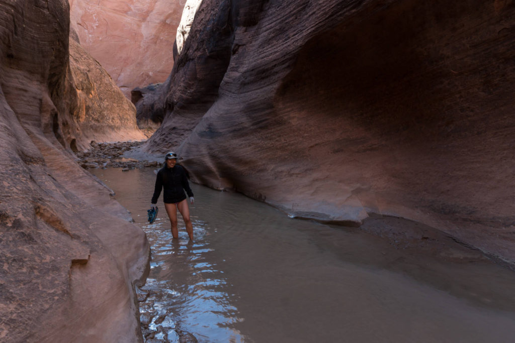Halls Creek Narrows ... Water in Halls Creek Narrows Capitol Reef