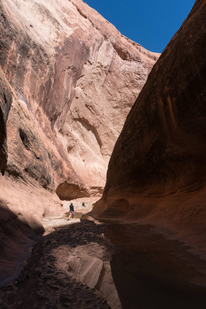 Halls Creek Narrows Steep walls in Halls Creel