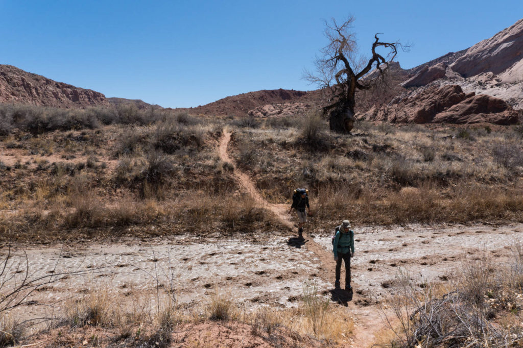 Grand Gulch Grand Gulch trail