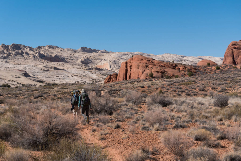 Grand Gulch View Grand Gulch View