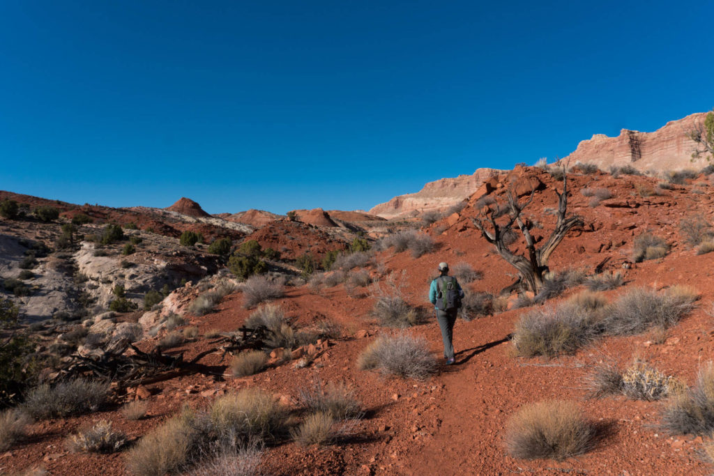 Grand Gulch Colors Red Colors in Grand Gulch
